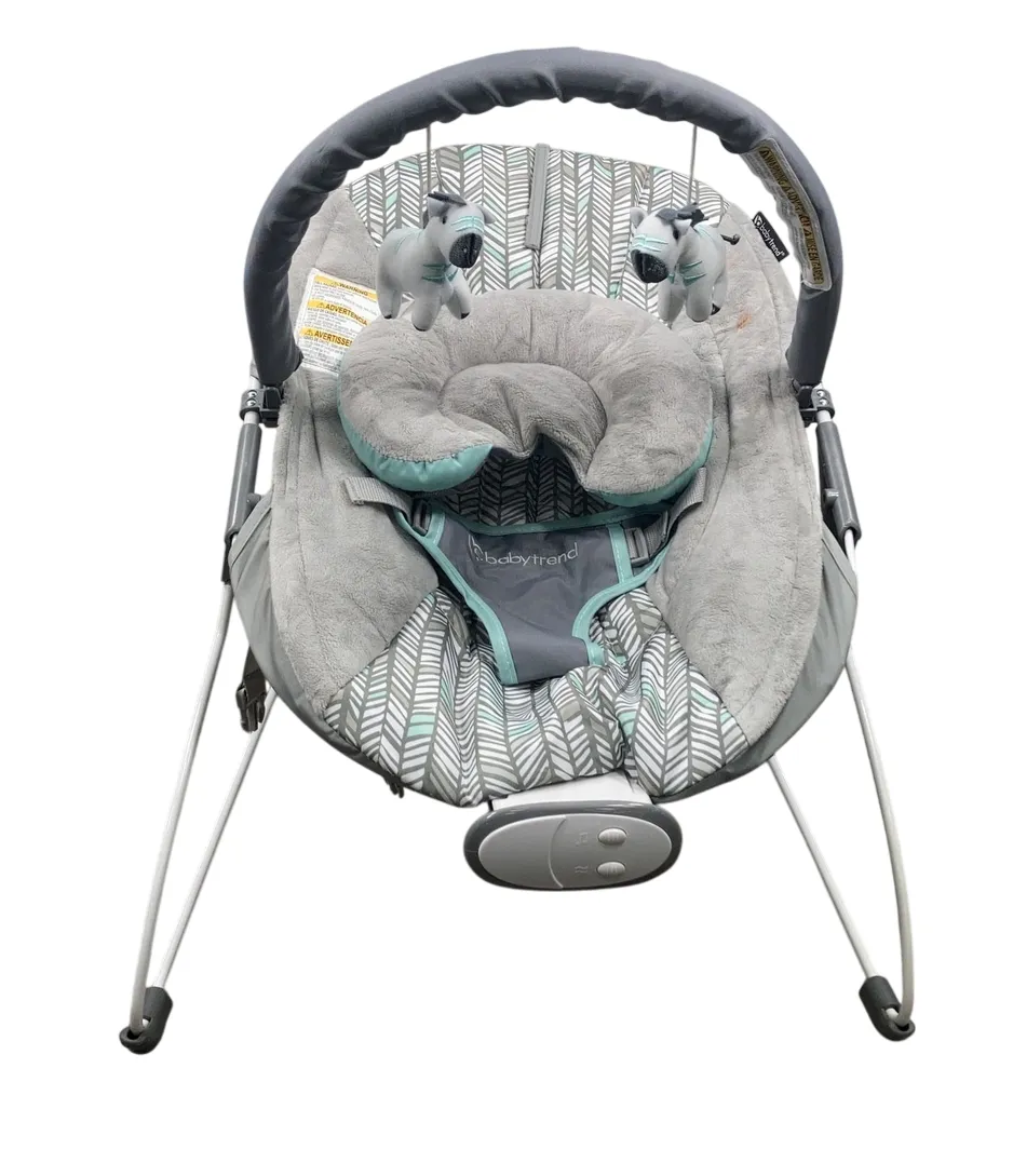 Baby Trend EZ Bouncer, Ziggy