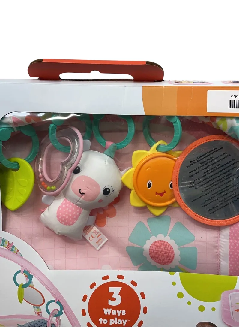 Bright Starts Activity Gym, Daydreams Bloom