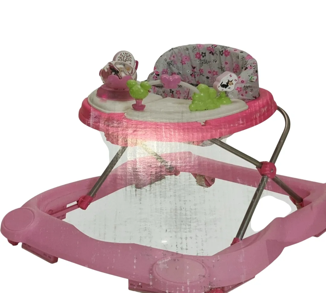 Bright Starts Music And Lights Walker, Garden Delight Minnie