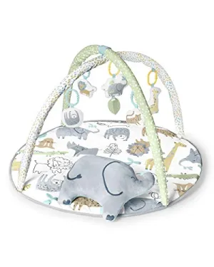 Carter’s Safari Play Gym