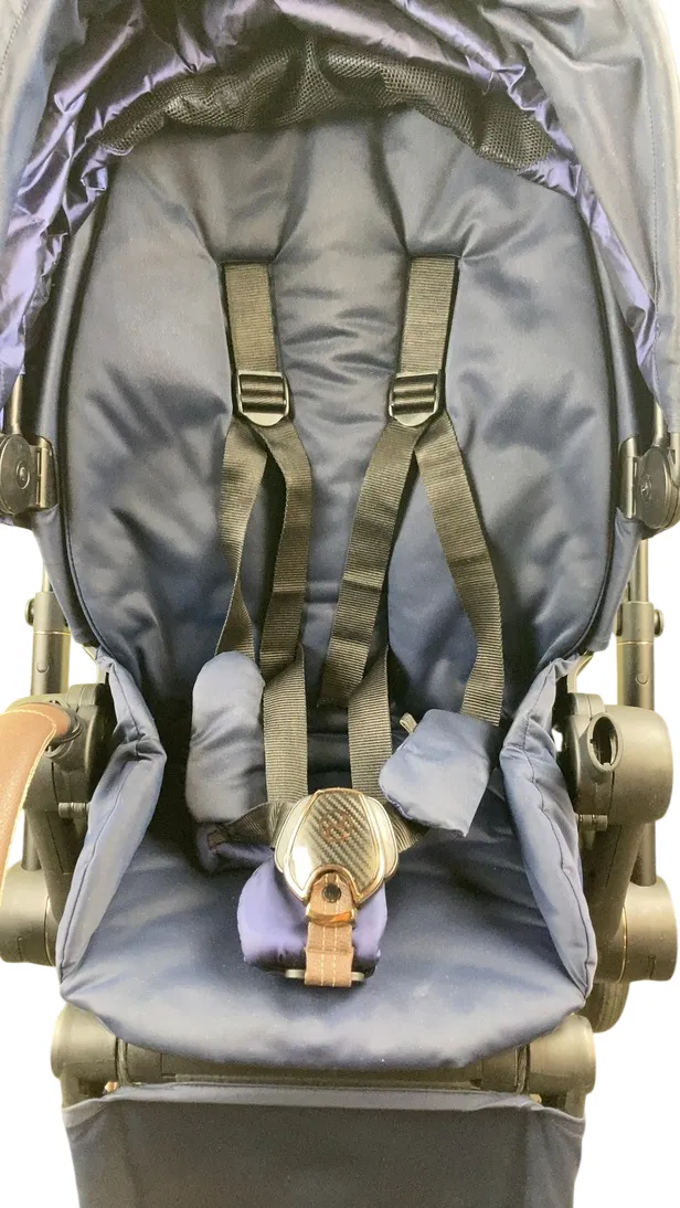 Cybex PRIAM Stroller, 2019, Rose Gold, Indigo Blue
