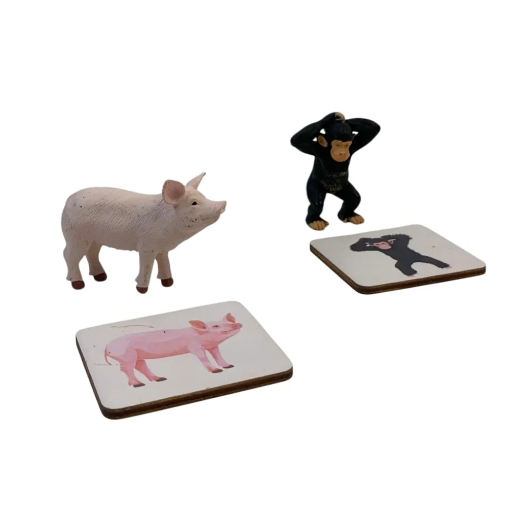 Lovevery The Companion Play Kit