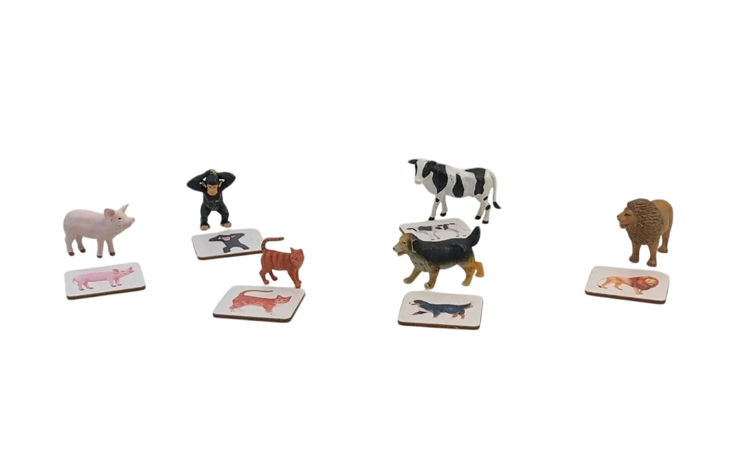 Lovevery The Companion Play Kit