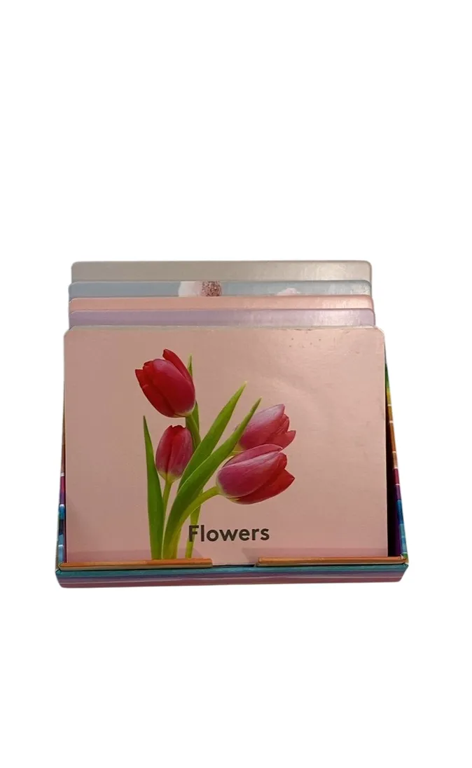 Lovevery The Inspector Play Kit