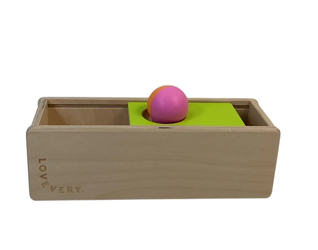 Lovevery The Thinker Play Kit
