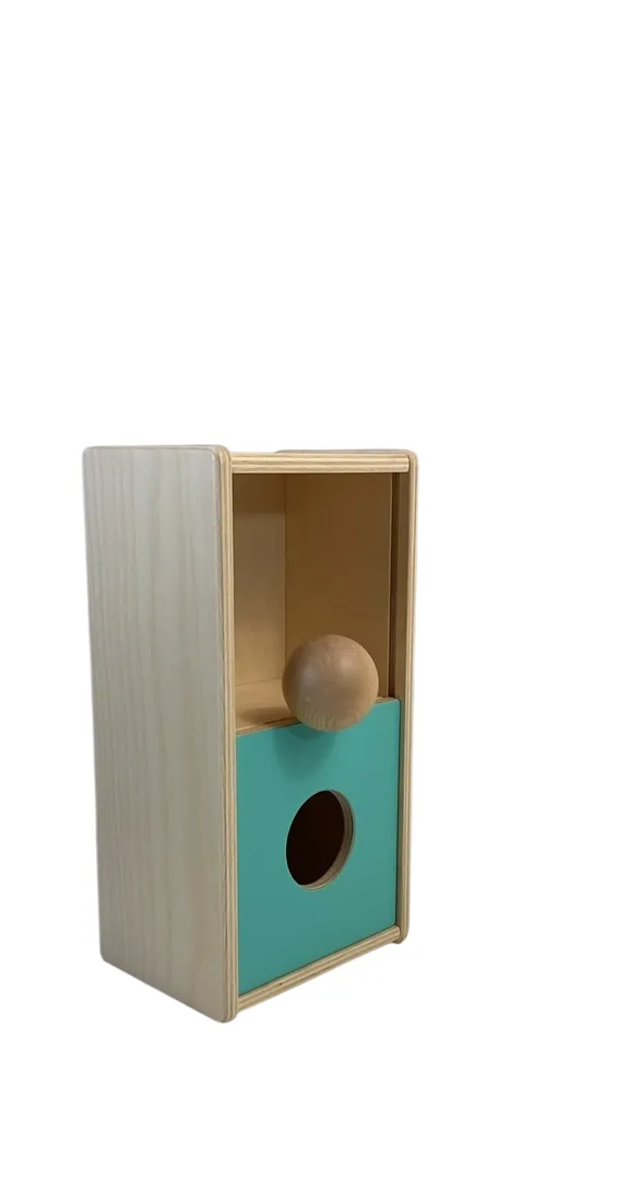 Lovevery The Thinker Play Kit