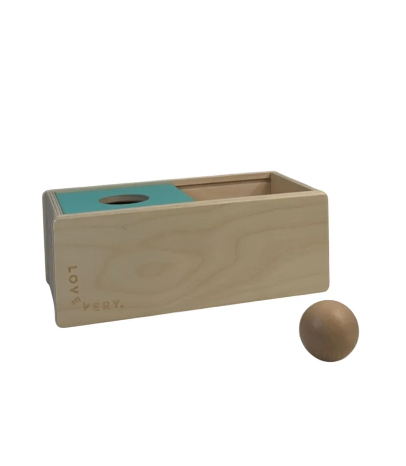 Lovevery The Thinker Play Kit
