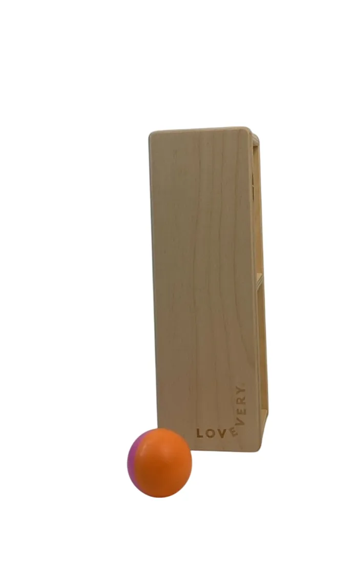 Lovevery The Thinker Play Kit