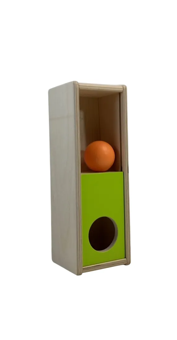 Lovevery The Thinker Play Kit