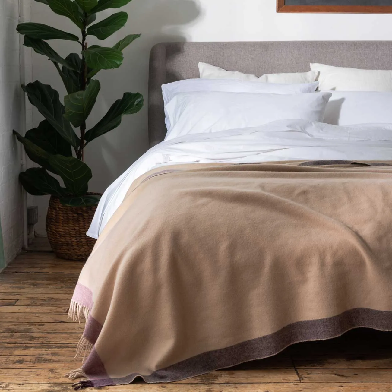Moorland Border Wool Blanket Piglet In Bed