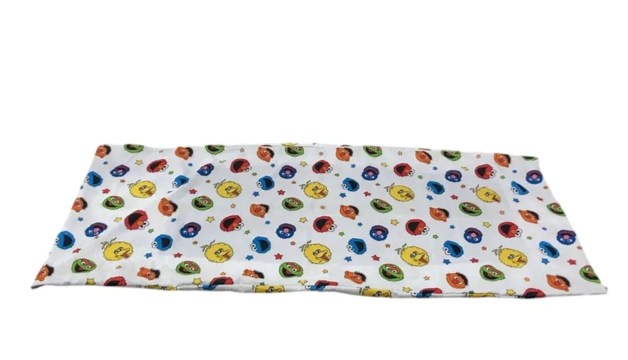 Nojo Sesame Street Come and Play Deluxe Easy Fold Toddler Nap Mat Pad
