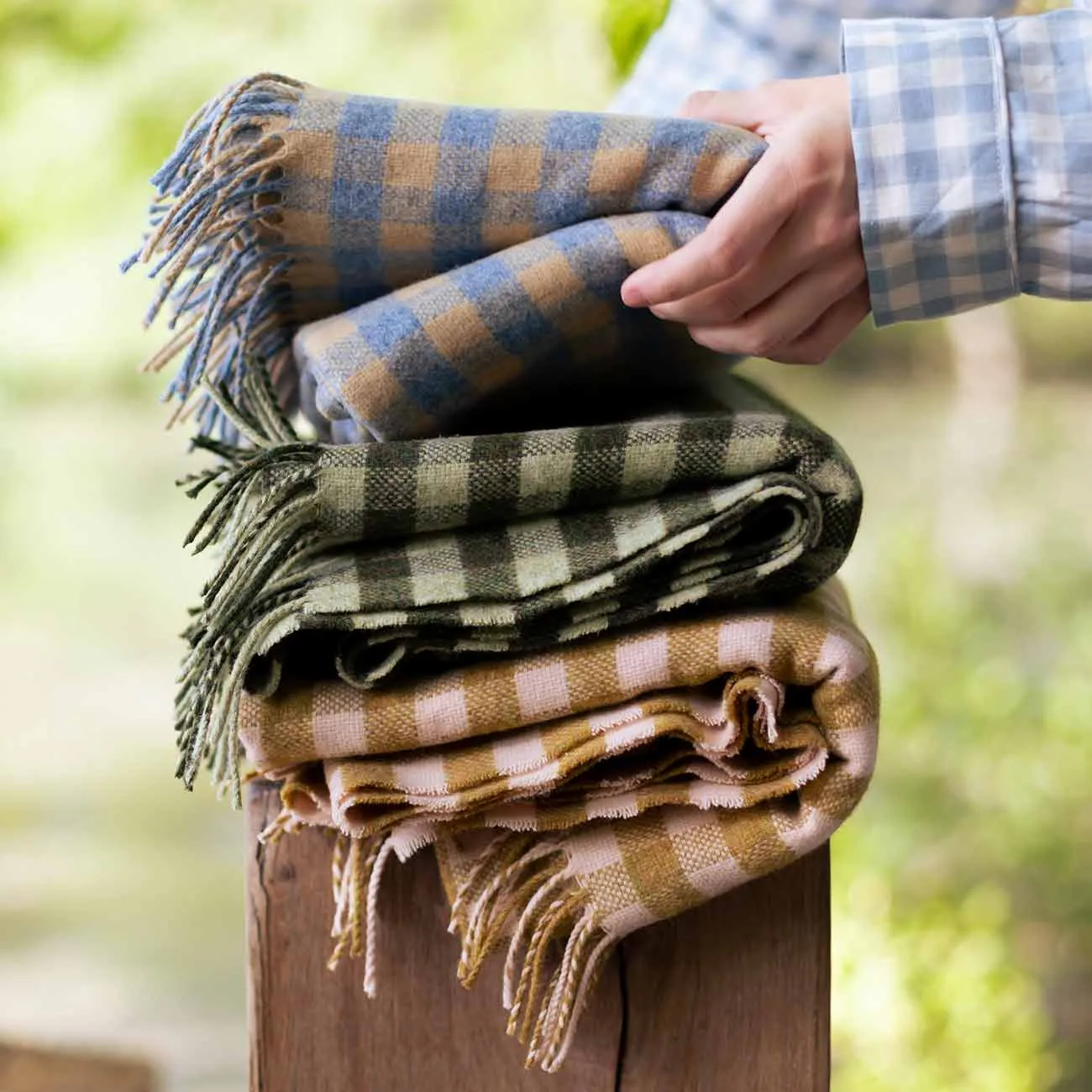 Ochre Gingham Wool Blanket Piglet In Bed