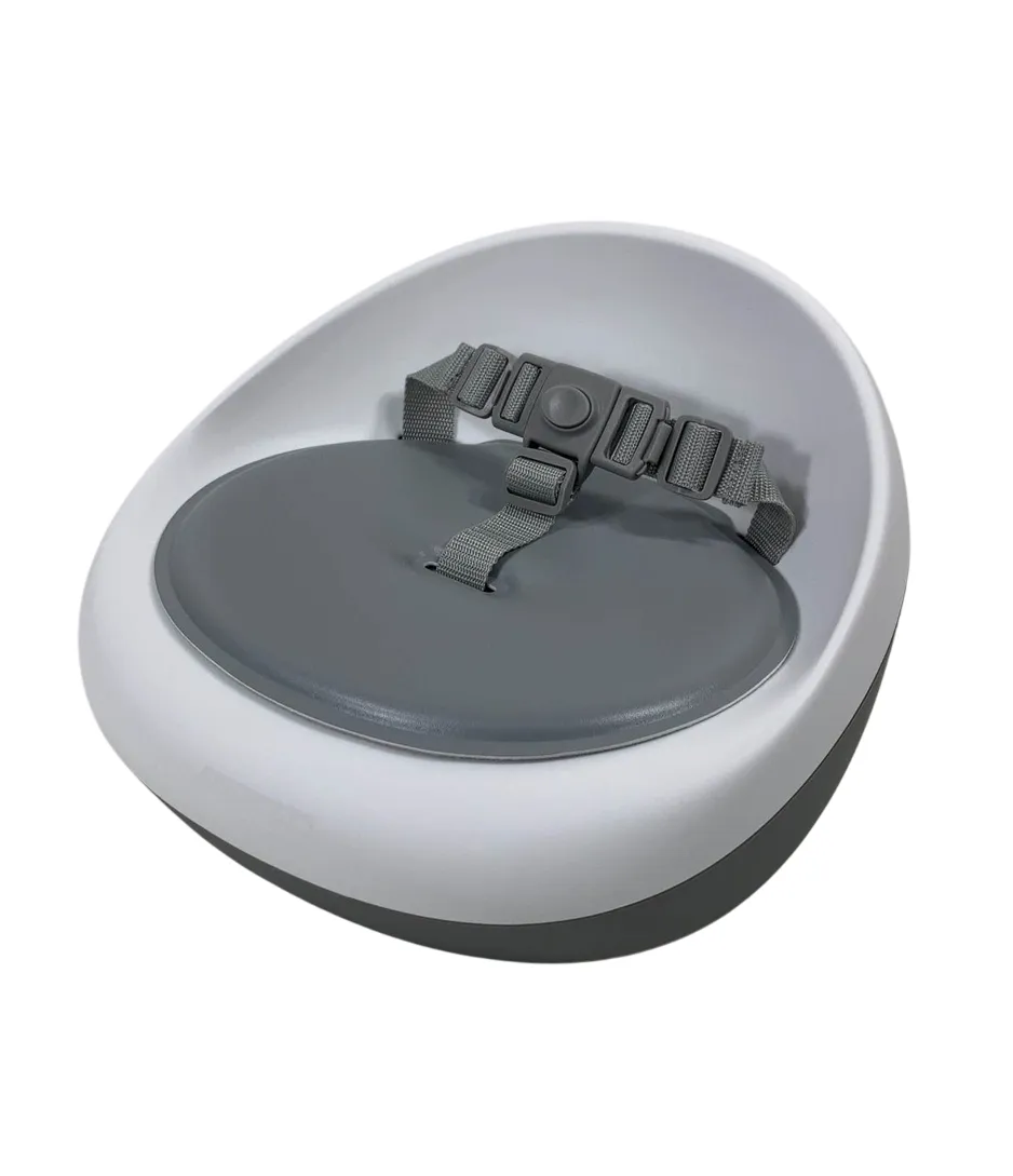 Skip Hop Booster Seat
