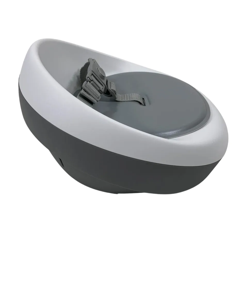 Skip Hop Booster Seat