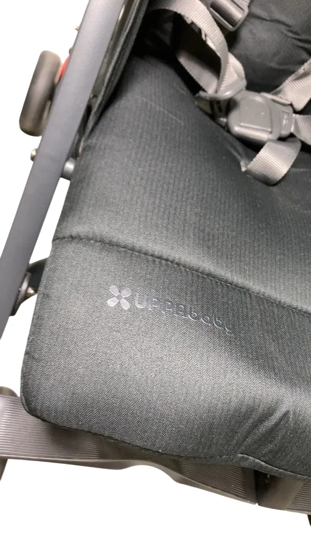 UPPAbaby G-Link V2 Double Stroller, 2023, Jake (Black)